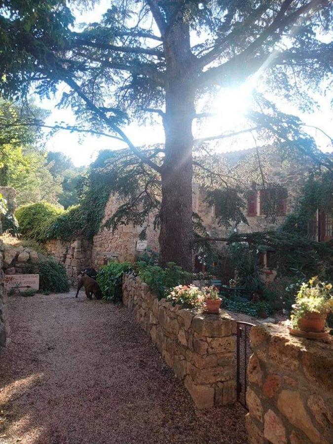Bed and Breakfast 4 Safraniers Sillans-la Cascade Exterior foto